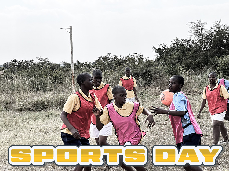 Girls playing net ball with colourful uniforms. 