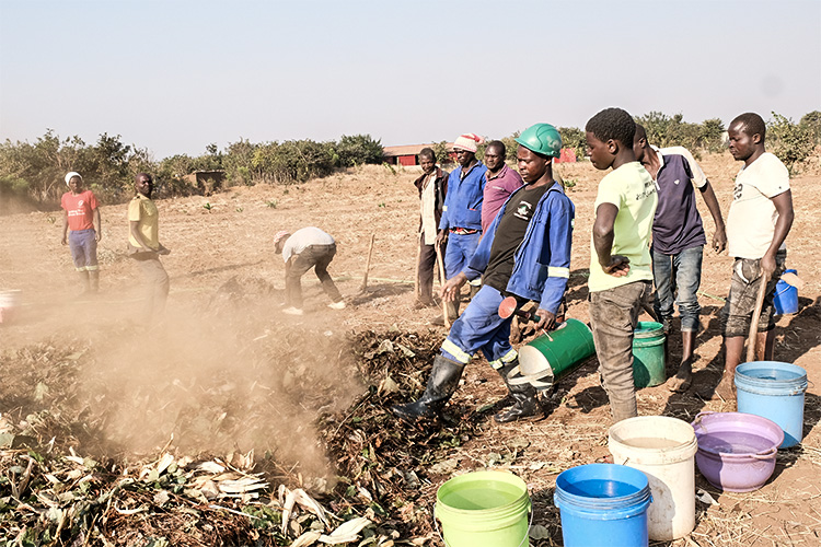 Workers gathered around a compost pile turning it and adding water. 