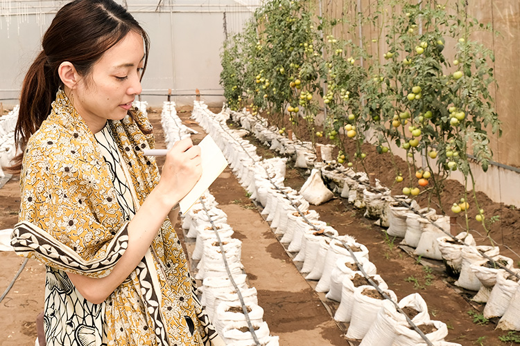 Ms Atarash is taking notes in the greenhouse with tomotoes int he background. 