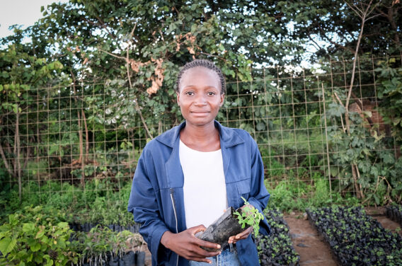 Rachel Salilika holding Moringa seedling outside with trees behind her