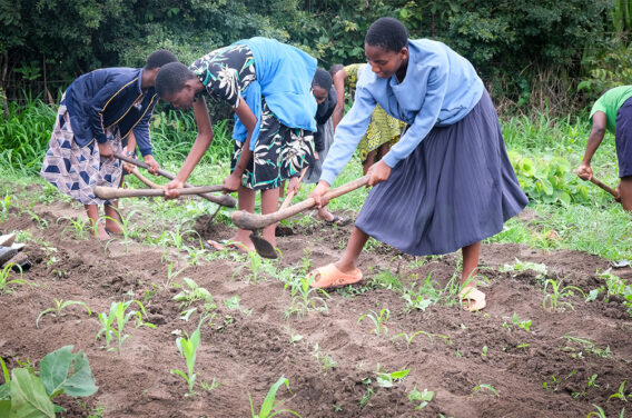 Kuwala students working in the Farm's garden using a hoe break up the soil for planting.